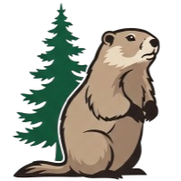 Logo Revelia Solutions